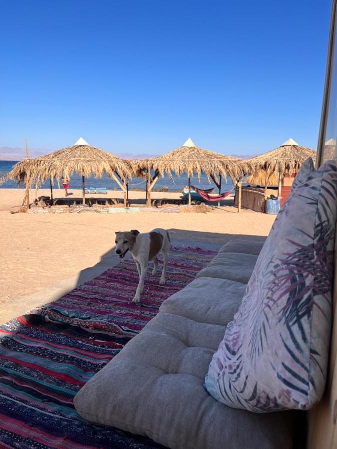 Готель Abdo Caribbean Camp Нувейба Екстер'єр фото